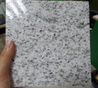 山东芝麻白-细花